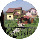 Dorin Gherman profile picture